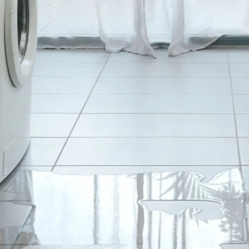 Appliance Leak Cleanup in Montgomery County, MO