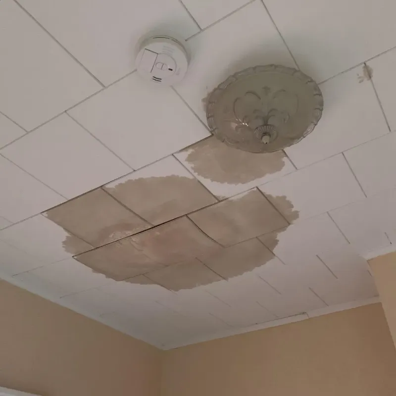 Ceiling Water Damage Repair in Montgomery County, MO