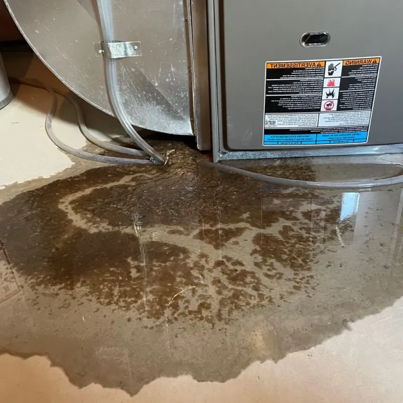 Pipe Burst and Leak Restoration in Montgomery County, MO